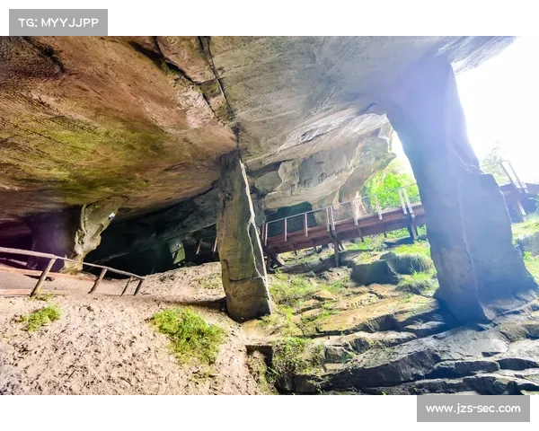 神兽森林秘境探险必去五大景点探索之旅揭秘